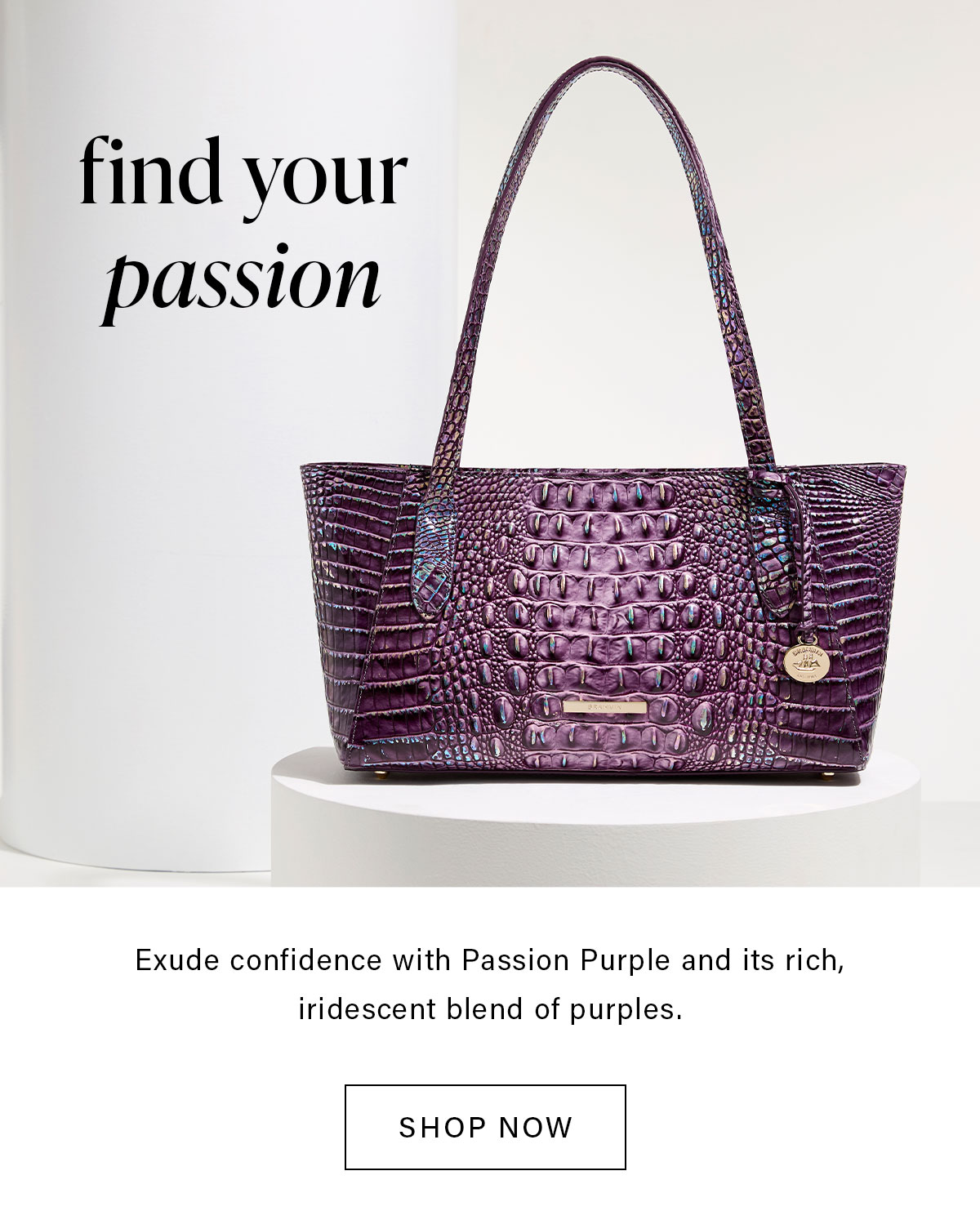 find your passion Exude confidence with Passion Purple and its rich, iridescent blend of purples. SHOP NOW