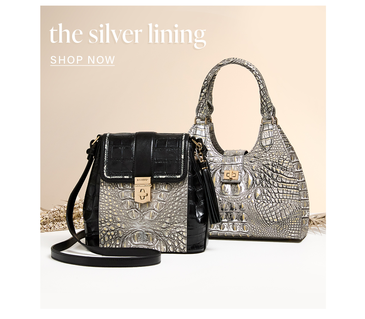 the silver lining SHOP NOW