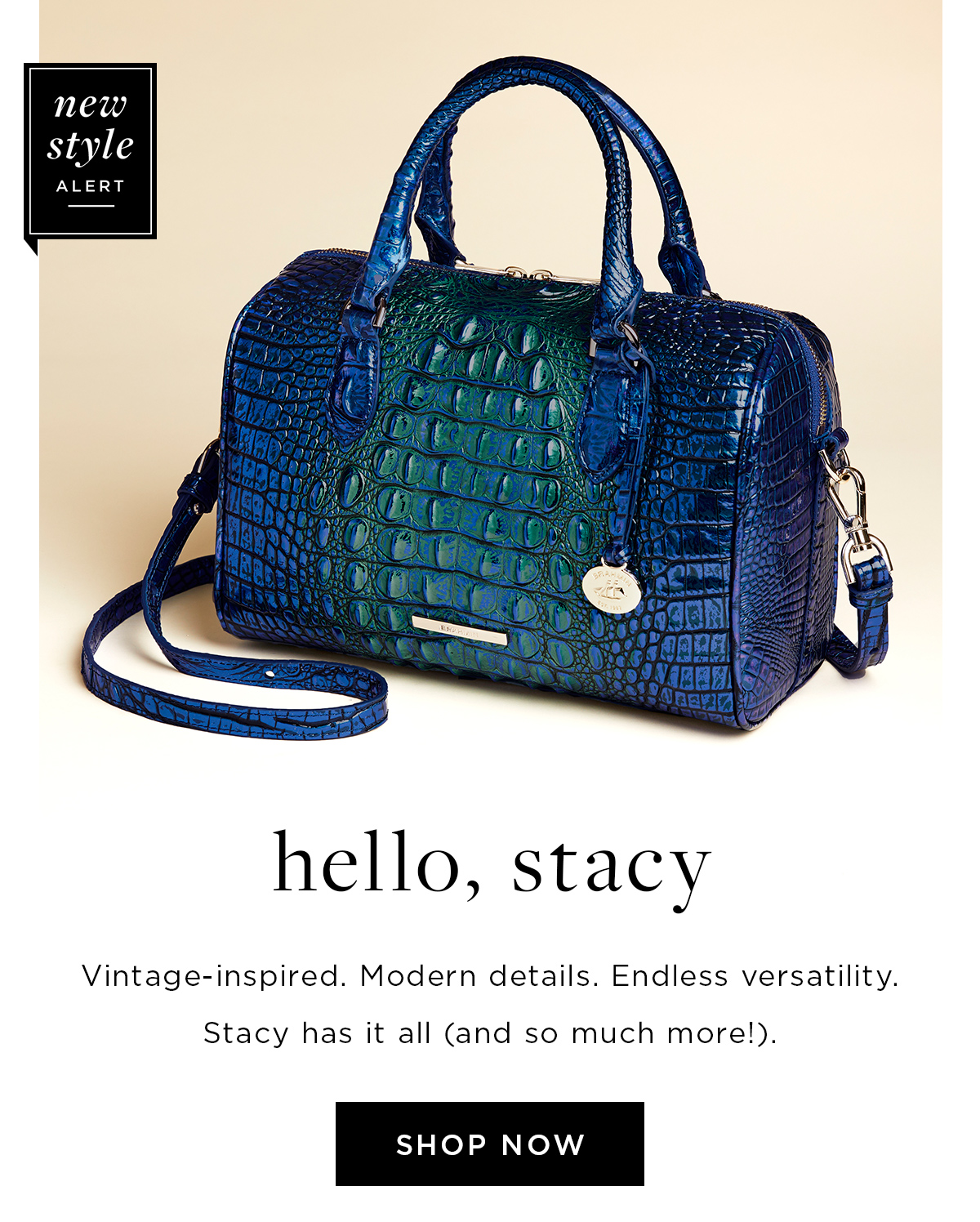 Brahmin Handbags - Satisfy your craving for color. Shop Energy