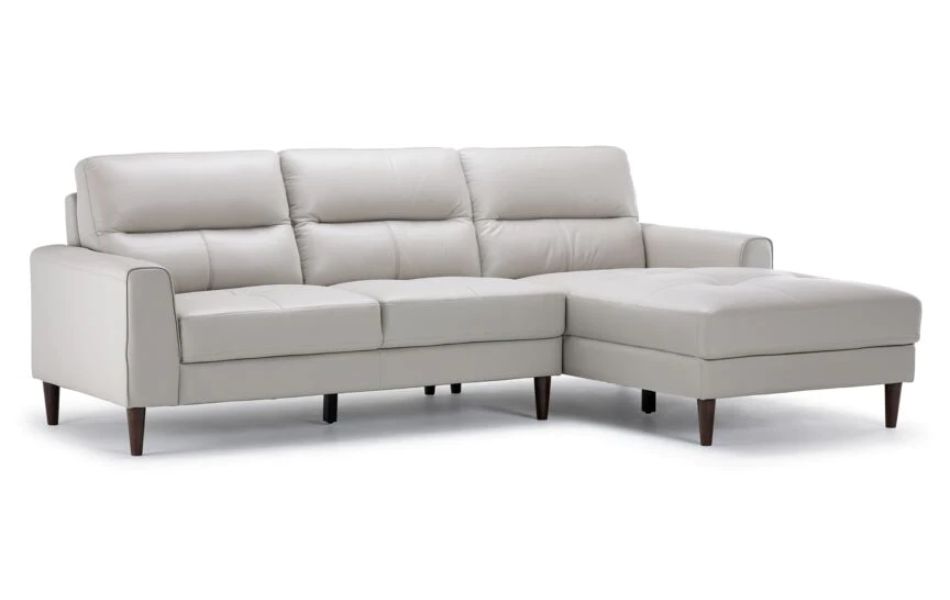 Cruz Leather 2-Piece Sectional