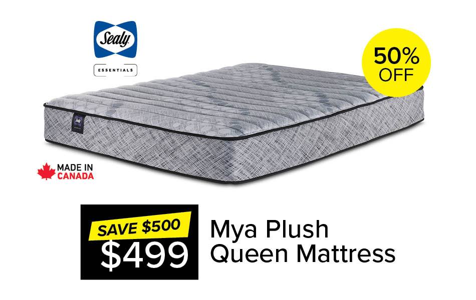 Mya Plush Queen Mattress