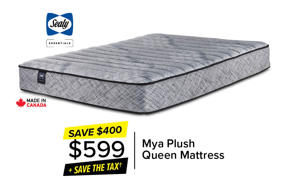 Mya Plush Queen Mattress