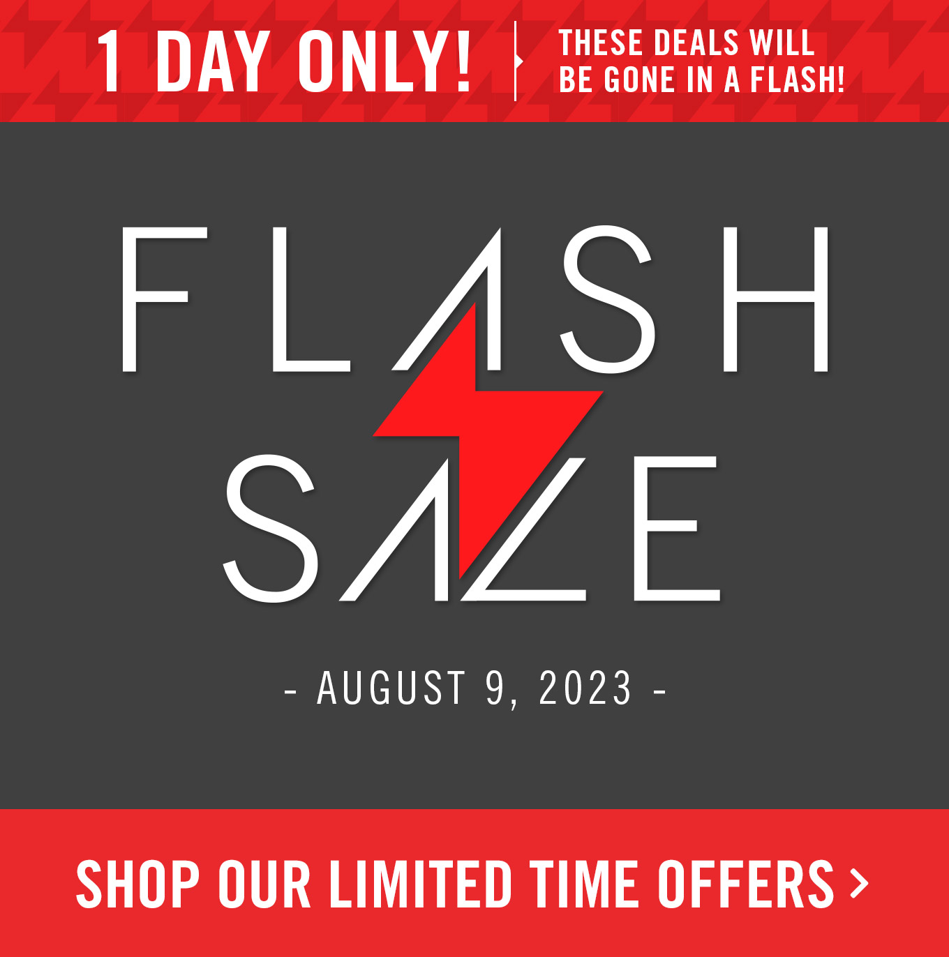 Flash Sale. One day only.