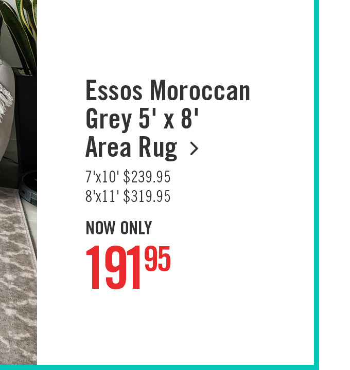 Essos Moroccan Grey 5x8 Area Rug.