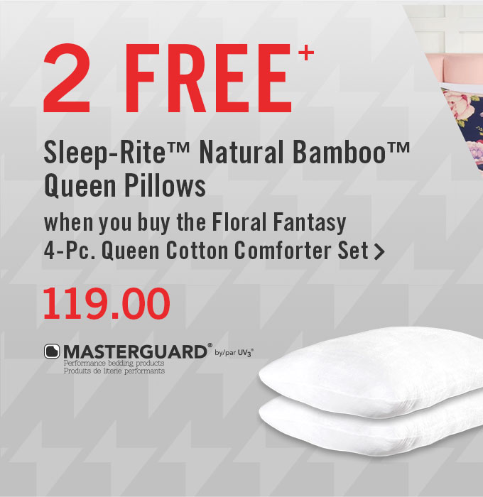 Floral Fantasy 4-Piece Queen Comforter Set