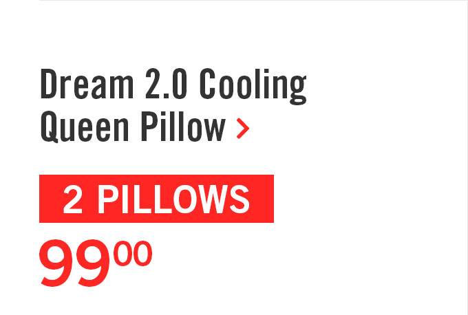 Masterguard® Dream 2.0 Cooling Queen Pillow