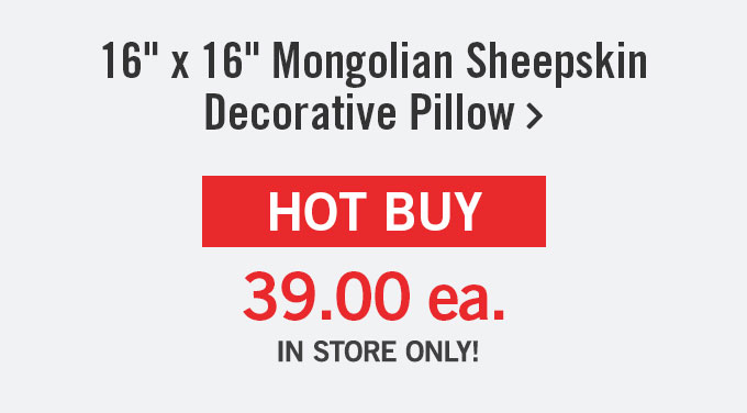 16" x 16" Mongolian Decorative Pillow.