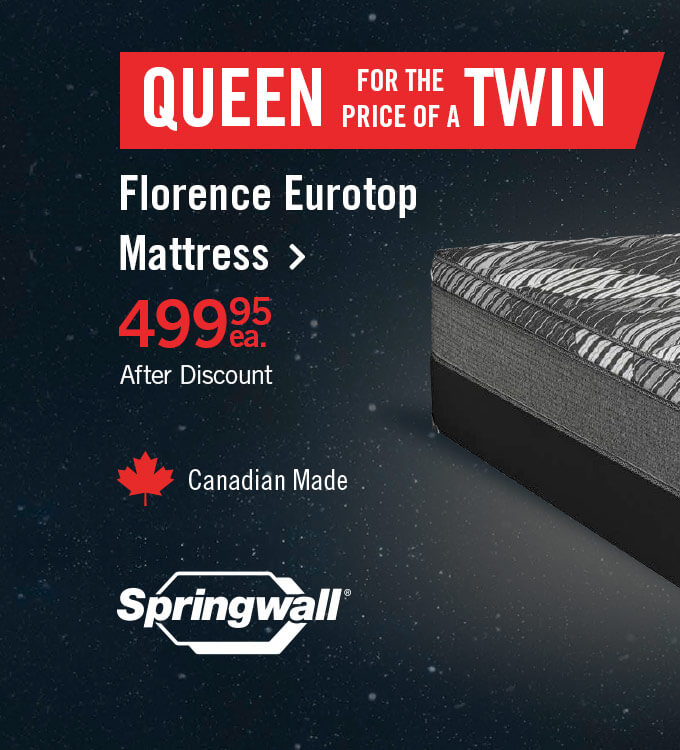 Florence Eurotop Queen Mattress.