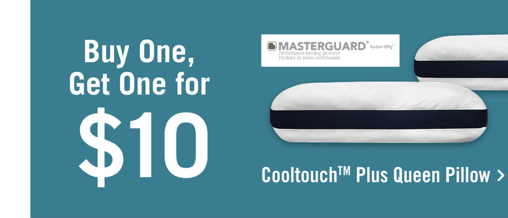 Cooltouch Plus Queen Pillow.
