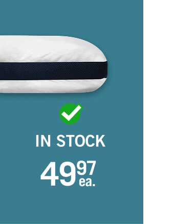 Cooltouch Plus Queen Pillow.