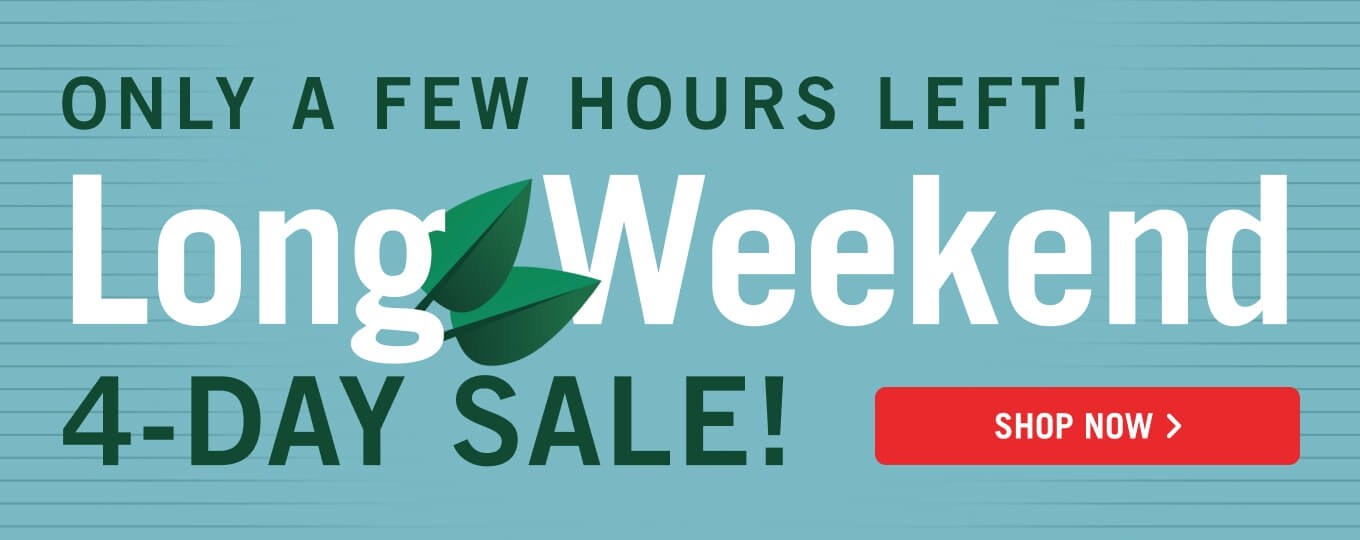 Long Weekend 4-Day Sale.