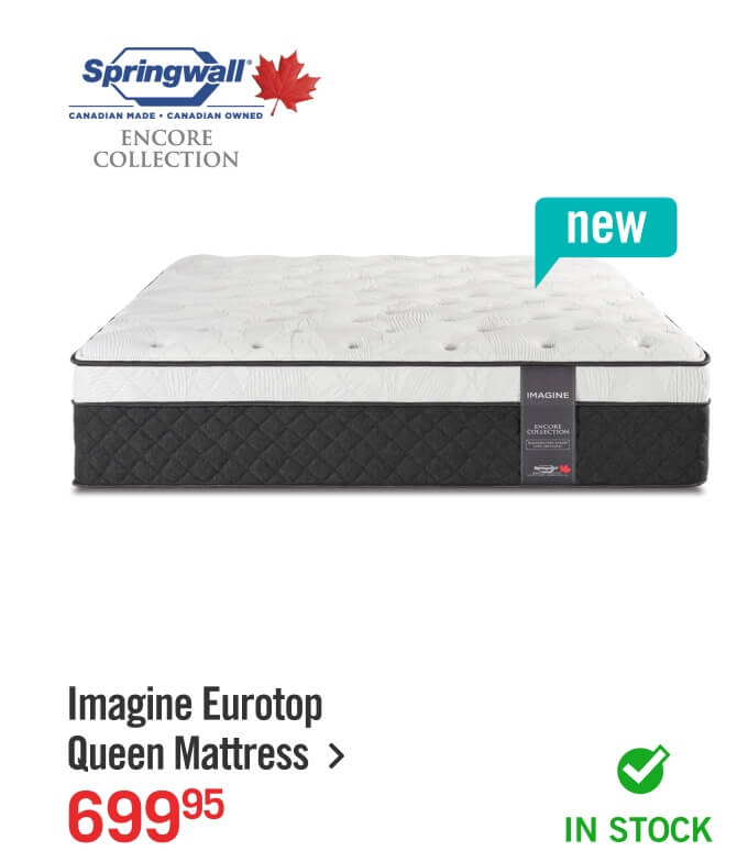Encore Imagine Eurotop Plush Queen Mattress.