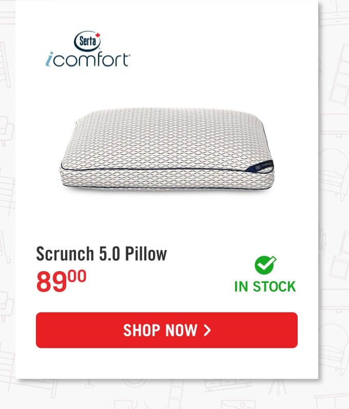 Scrunch 5.0 Pillow.