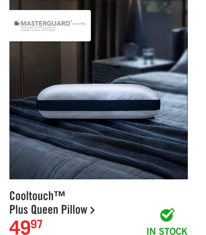 Masterguard® Cooltouch™ Plus Queen Pillow.