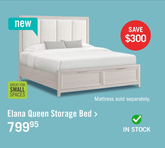 Elana Queen Storage Bed.