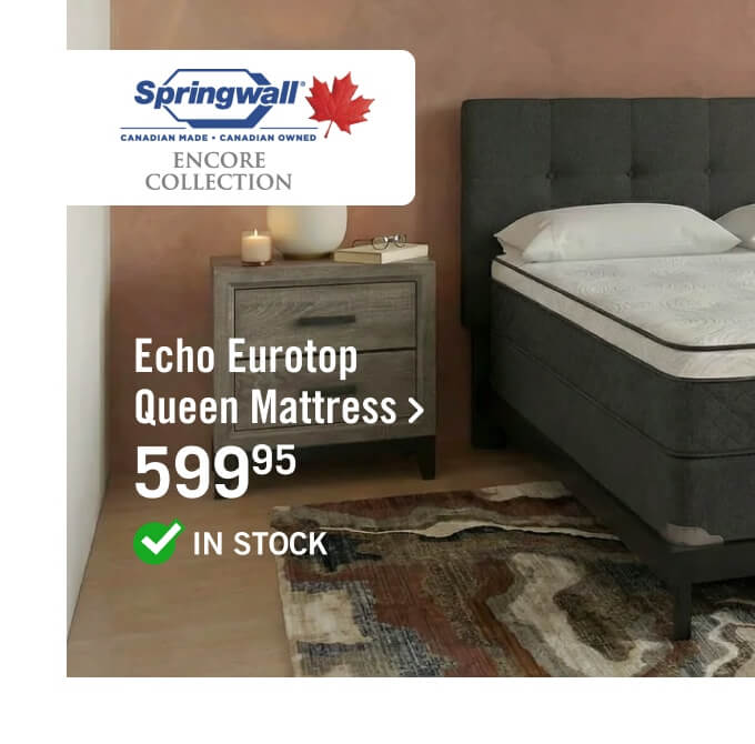 Echo Eurotop Queen Mattress.