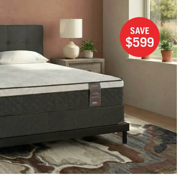 Echo Eurotop Queen Mattress.