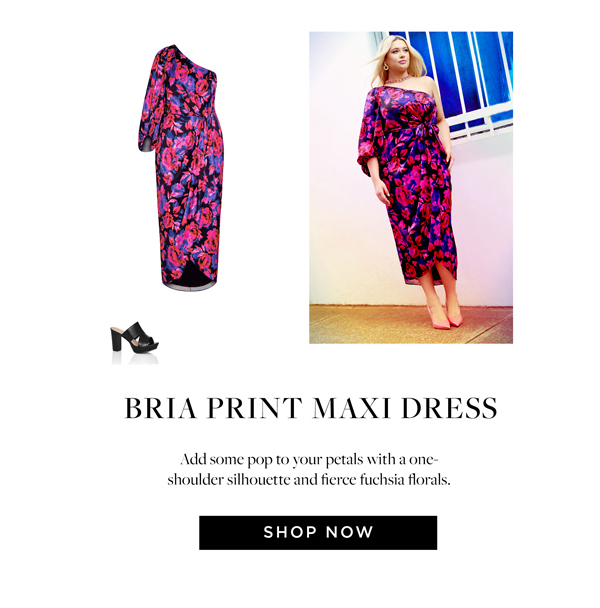 Shop Bria Print Maxi Dress Now