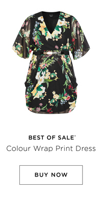 Shop the Colour Wrap Print Dress