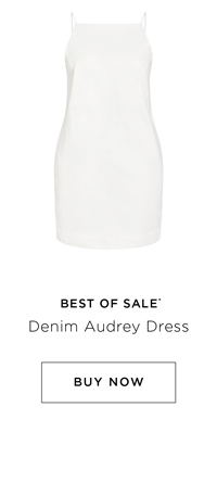 Shop the Denim Audrey Dress