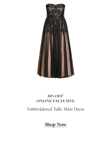 Shop the Embroidered Tulle Maxi Dress