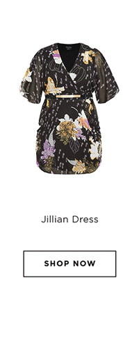 Shop the Jillian Dress