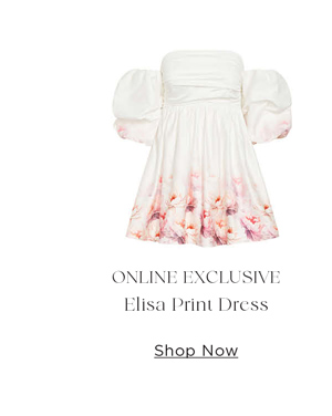 Shop Elisa Print Dress