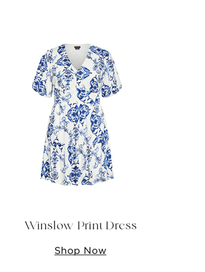 Shop Winslow Print Dress