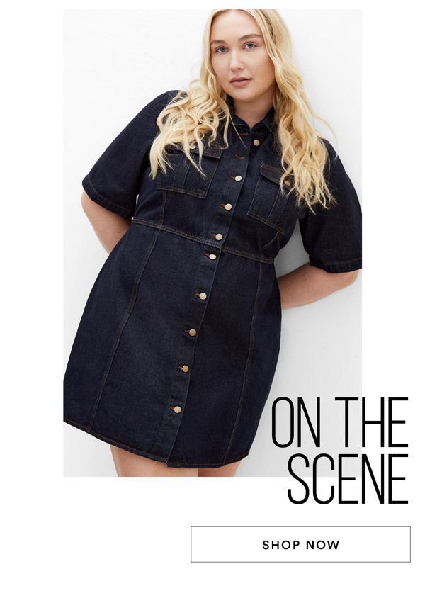 Shop the Liv Denim Dress