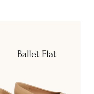 WIDE FIT Ebony Ballet Flat