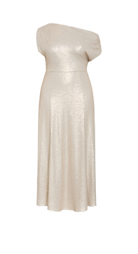 Shop the Sequin Off Shoulder Maxi Dress