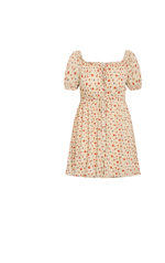 Shop the Dream Print Mini Dress