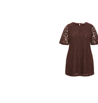 Shop the Lani Lace Mini Dress