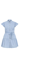 Shop the Kelise Denim Mini Dress