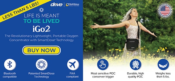 Drive iGo2