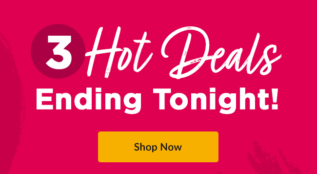 3 Hot Deals Ending Tonight! Shop Now 