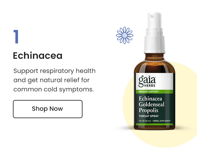 Echinacea: Support respiratory health and get natural relief for common cold symptoms. Shop Now.