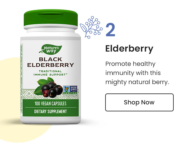 Elderberry: Promote healthy immunity with this mighty natural berry. Shop Now.