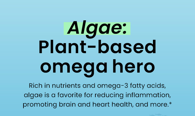 Algae: Plant-based omega hero. Rich in nutrients and omega-3 fatty acids, algae is a favorite for reducing inflammation, promoting brain and heart health, and more.*