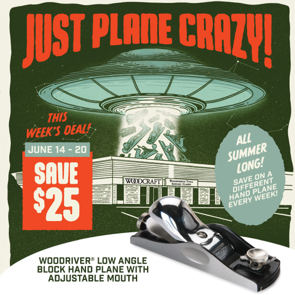 Just Plane Crazy - Save $25