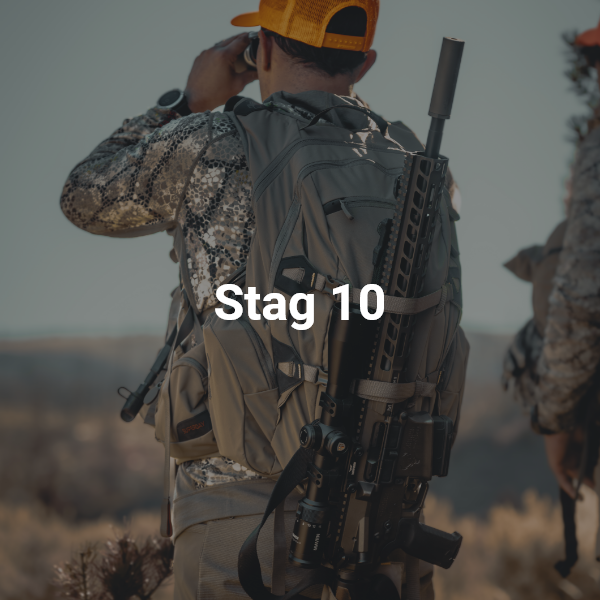 Stag 10