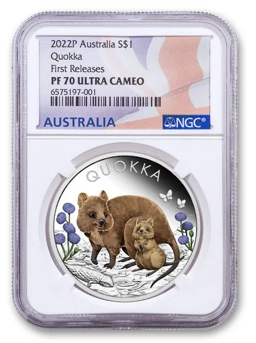 quokka