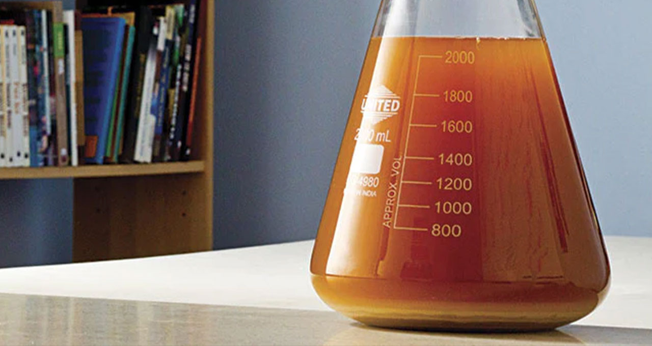 How to Make a Yeast Starter