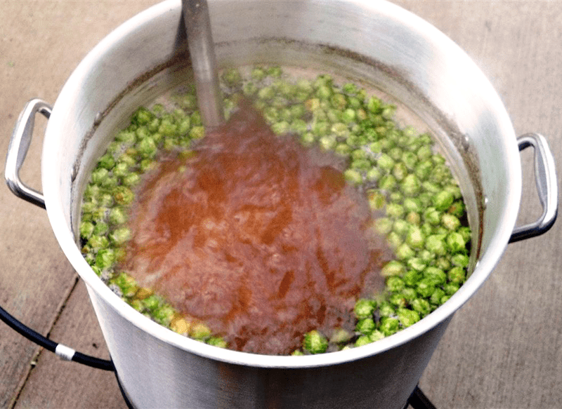 Fresh Hops in Boiling Wort