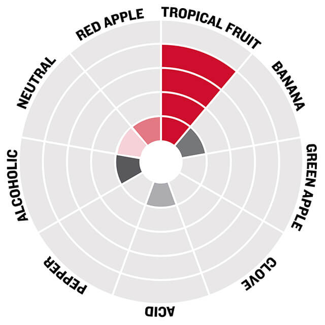 LalBrew Pomona Flavor Wheel