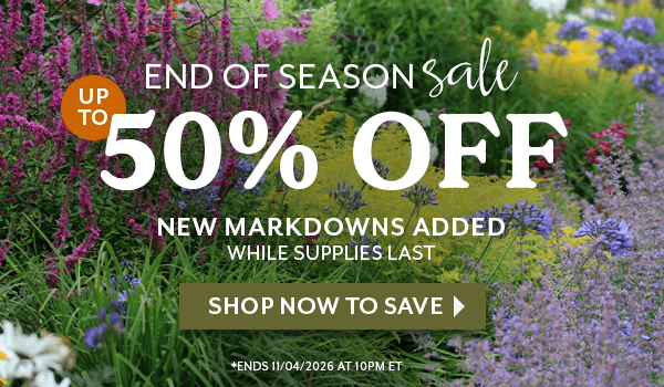 END OF SEASON SALE - UP TO 40% OFF OVER 150 PLANTS & BULBS. OFFER ENDS 11/04/2026 10 PM EASTERN TIME