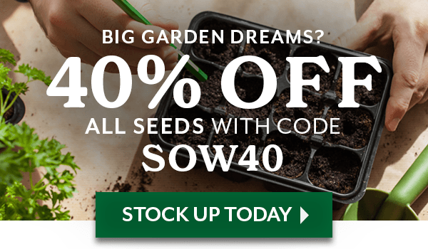 BIG GARDEN DREAMS? 40% OFF ALL SEEDS WITH CODE SOW40