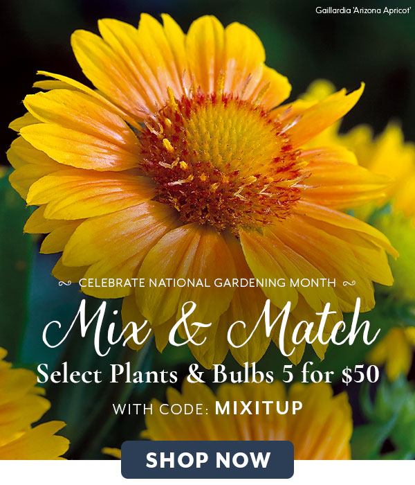 Mix & Match Select Plants & Bulbs 5 for $50 with code MIXITUP