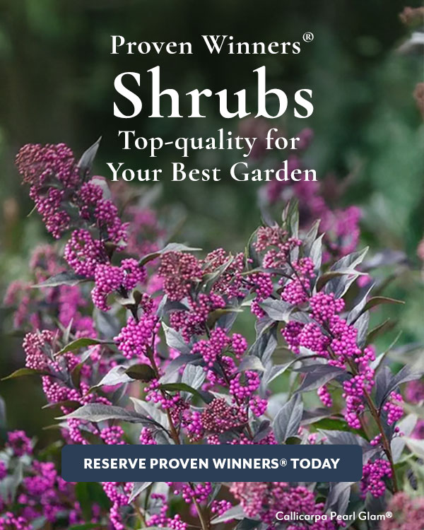 Shrubs Proven Winners®