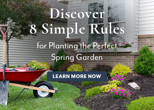 Perfect Your Spring Garden